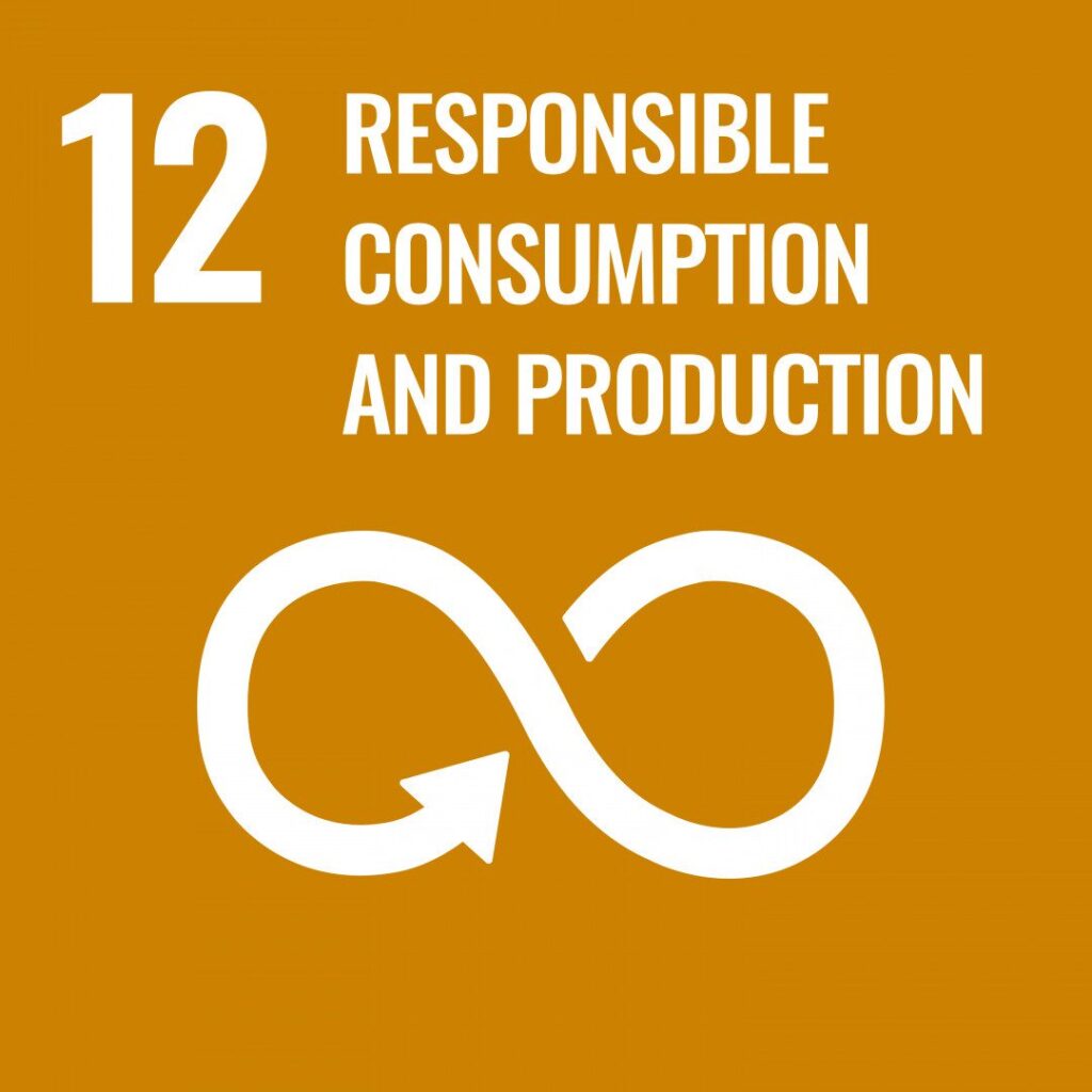 Objetivo de Desenvolvimento Sustentável número 12 da ONU