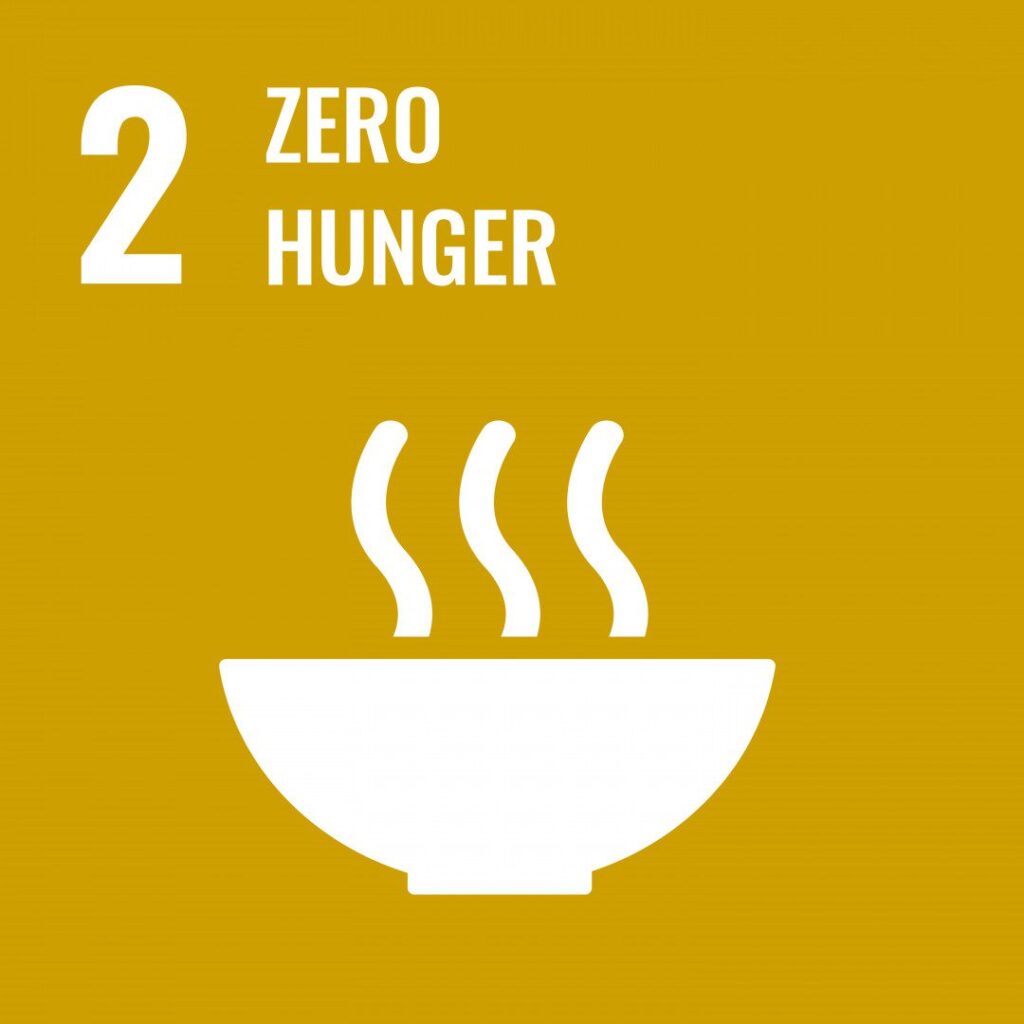 Objetivo de Desenvolvimento Sustentável número 2 da ONU