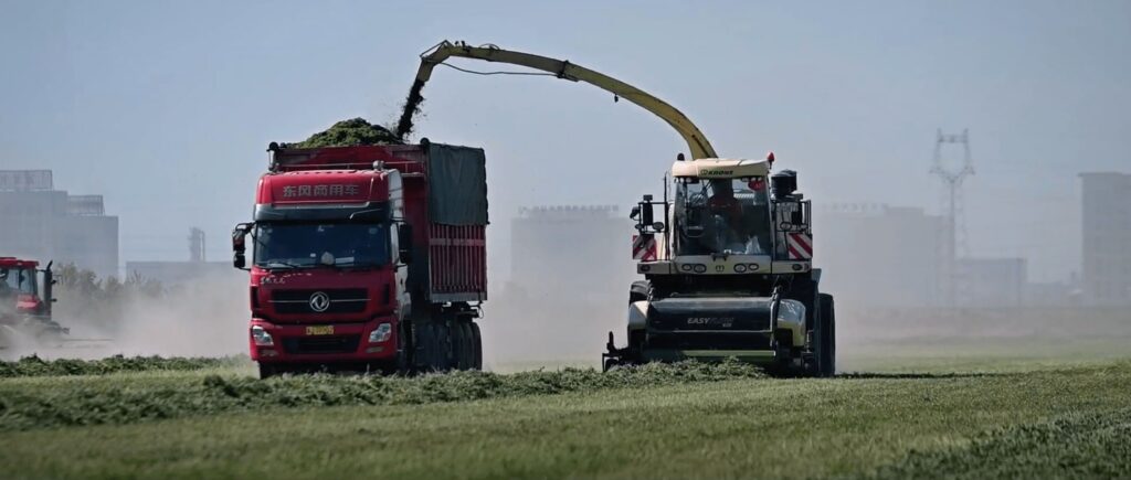 Ein Erntegerät, das Gras schneidet und es auf einen daneben fahrenden LKW umlädt