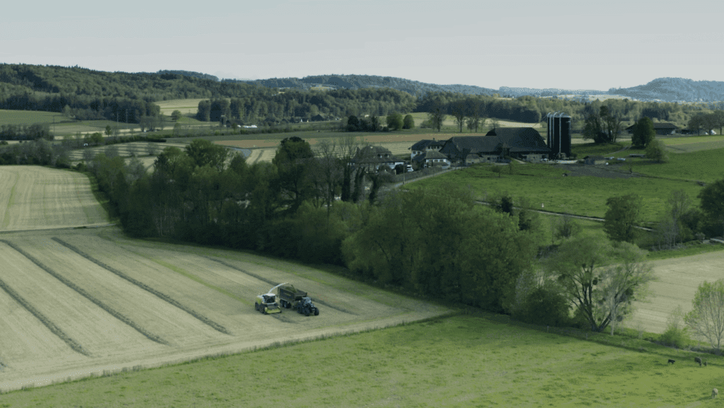 Überblick über ein großes grünes Feld und einen Bauernhof im Hintergrund. Ein Mähdrescher sammelt Gras und füllt einen Anhänger auf einem der Felder, auf einem anderen Feld grasen Kühe. 